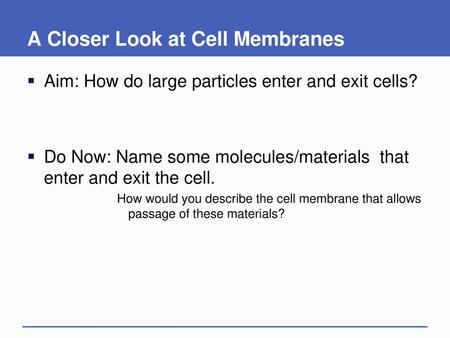 A Closer Look at Cell Membranes