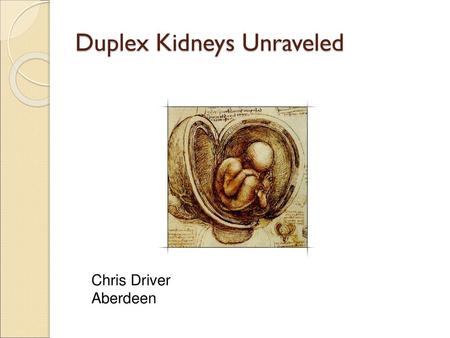 Duplex Kidneys Unraveled