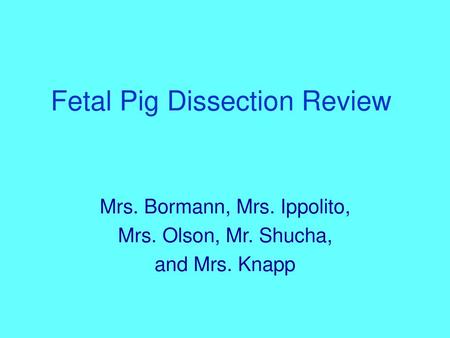 Fetal Pig Dissection Review