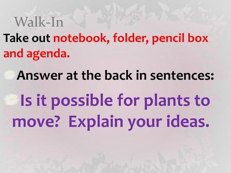 Is it possible for plants to move? Explain your ideas.