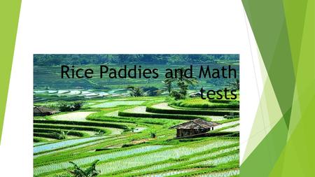 Rice Paddies and Math tests