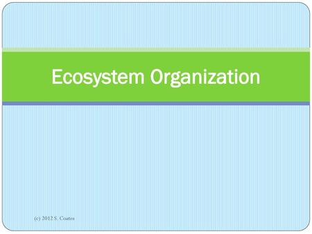 Ecosystem Organization