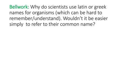 Bellwork: Why do scientists use latin or greek names for organisms (which can be hard to remember/understand). Wouldn’t it be easier simply to refer to.