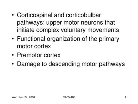 Functional organization of the primary motor cortex Premotor cortex