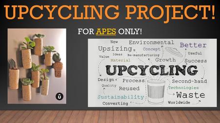 Upcycling Project! For APES only!.