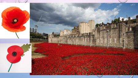 The first official Armistice Day(formal agreement of warring parties to stop fighting) was subsequently held on the grounds of Buckingham Palace the.