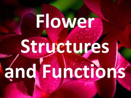 Flower Structures and Functions