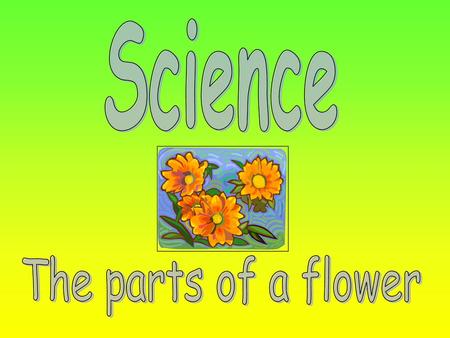 Science The parts of a flower.