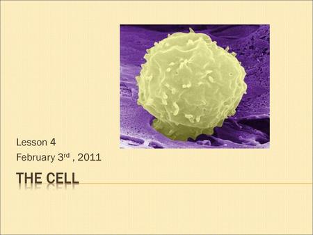 Lesson 4 February 3rd , 2011 The cell.