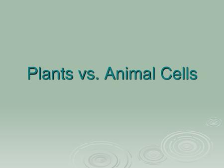 Plants vs. Animal Cells.