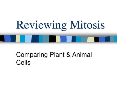 Comparing Plant & Animal Cells