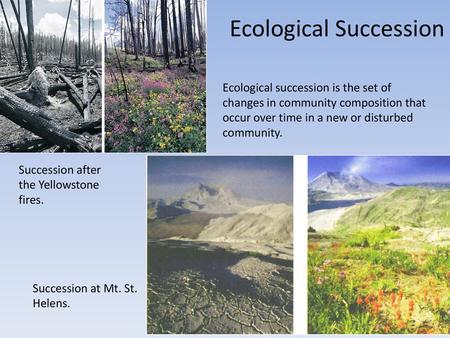 Ecological Succession