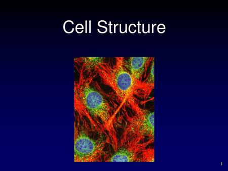 Cell Structure.