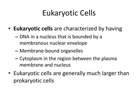 Eukaryotic Cells Eukaryotic cells are characterized by having