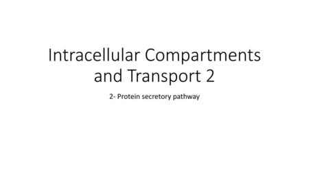 Intracellular Compartments and Transport 2