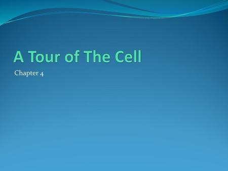 A Tour of The Cell Chapter 4.