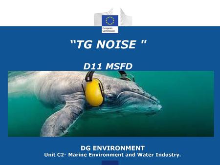 DG Environment, Unit D.2 Marine Environment and Water Industry