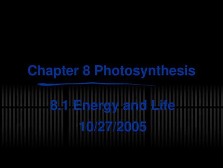 Chapter 8 Photosynthesis