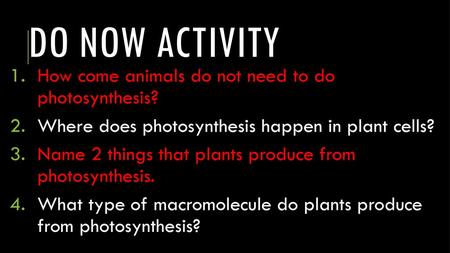 Do now activity How come animals do not need to do photosynthesis?