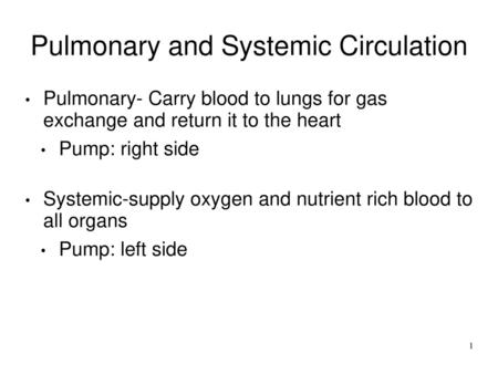 Pulmonary and Systemic Circulation