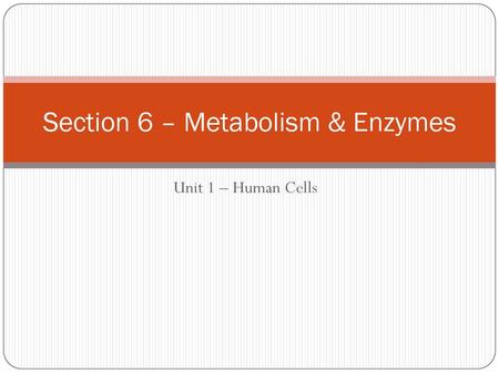 Section 6 – Metabolism & Enzymes