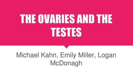 THE OVARIES AND THE TESTES