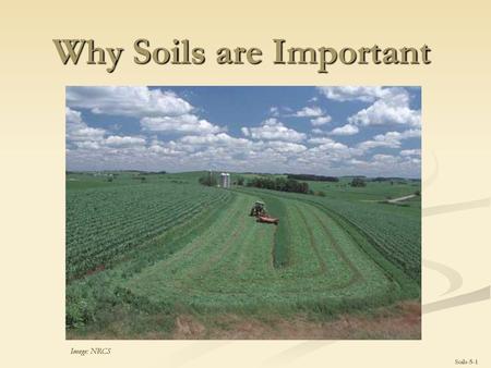 Why Soils are Important