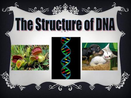 The Structure of DNA All life on earth uses a chemical called DNA to carry its genetic code or blueprint. In this lesson we be examining the structure.