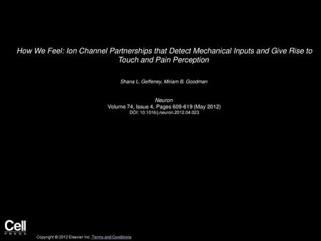 How We Feel: Ion Channel Partnerships that Detect Mechanical Inputs and Give Rise to Touch and Pain Perception  Shana L. Geffeney, Miriam B. Goodman 