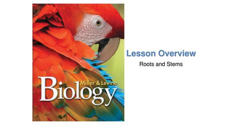 Lesson Overview Roots and Stems.