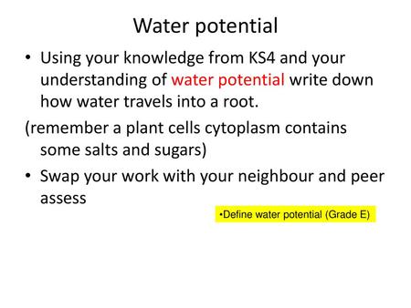 Water potential Using your knowledge from KS4 and your understanding of water potential write down how water travels into a root. (remember a plant cells.