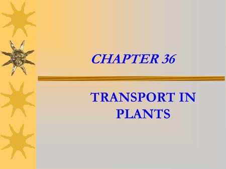 CHAPTER 36 TRANSPORT IN PLANTS.