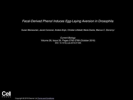 Fecal-Derived Phenol Induces Egg-Laying Aversion in Drosophila