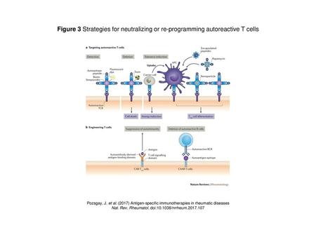 Nat. Rev. Rheumatol. doi: /nrrheum