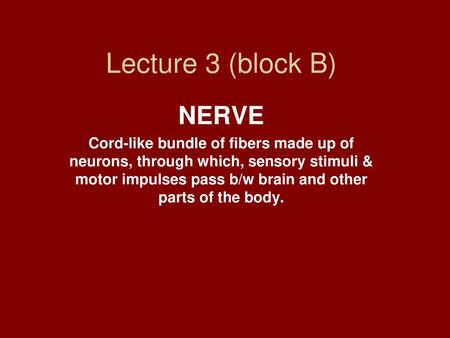 Lecture 3 (block B) NERVE