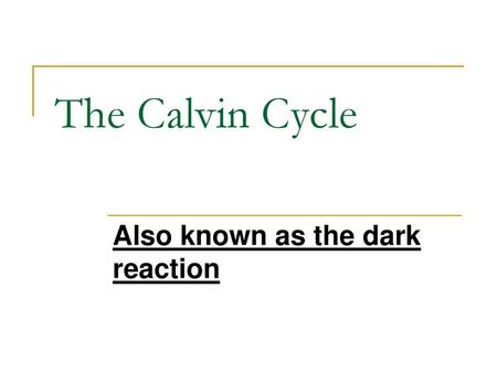 Also known as the dark reaction