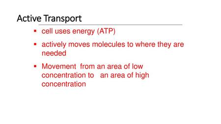 Active Transport cell uses energy (ATP)