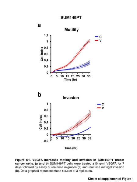 a b SUM149PT Motility Invasion C V C V