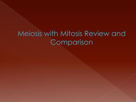 Meiosis with Mitosis Review and Comparison