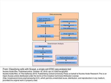 Figure 1. Complete work-flow of the Scasat