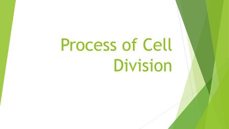 Process of Cell Division