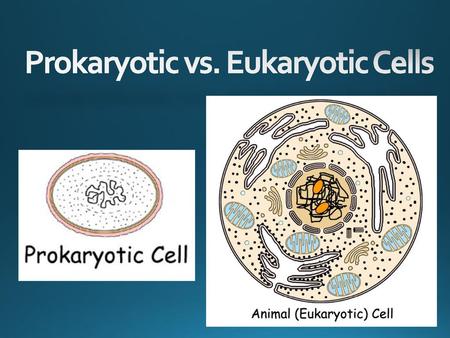 Prokaryotic vs. Eukaryotic Cells