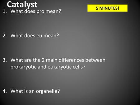 Catalyst What does pro mean? What does eu mean?