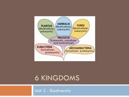 6 Kingdoms Unit 2 - Biodiversity.