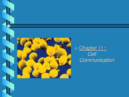 Chapter 11~		Cell Communication