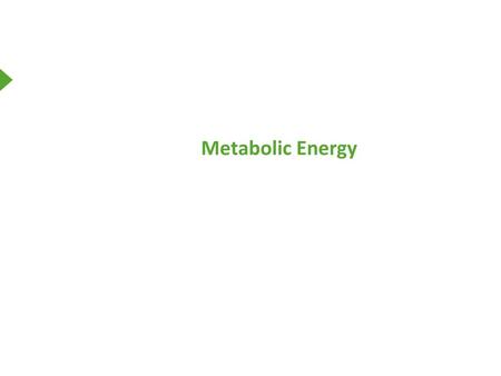 Metabolic Energy.