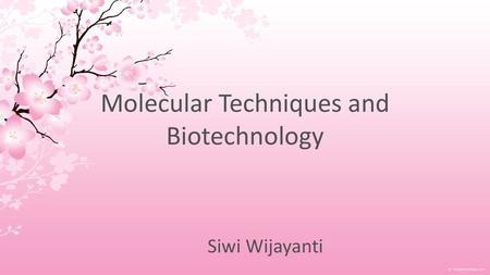 Molecular Techniques and Biotechnology