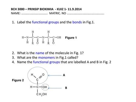 Label the functional groups and the bonds in Fig.1.