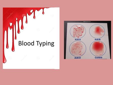 Blood Typing (3R).