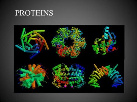 PROTEINS.